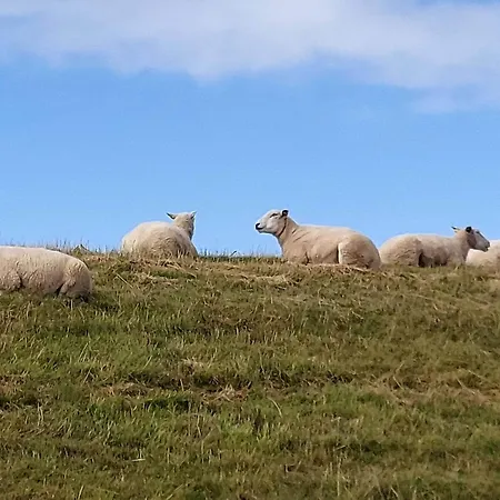 Modern Seaside Retreat - By Traum بيت للعطل Emmerlev