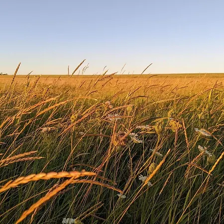 Modern Seaside Retreat - By Traum Emmerlev