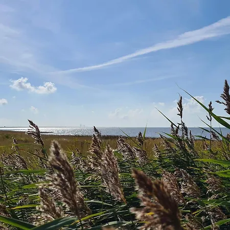 Semesterbostad Modern Seaside Retreat - By Traum