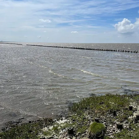 Modern Seaside Retreat - By Traum Emmerlev