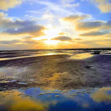 Modern Seaside Retreat - By Traum 펜션 *