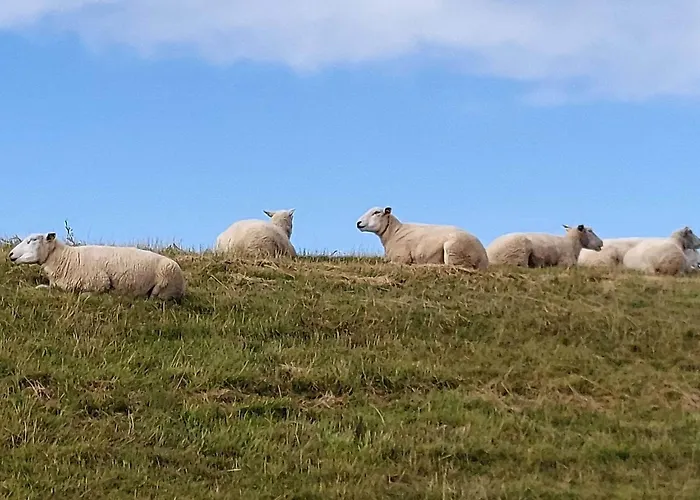 Modern Seaside Retreat - By Traum بيت للعطل Emmerlev