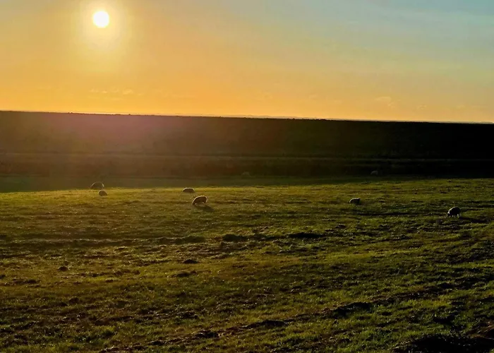 بيت للعطل Modern Seaside Retreat - By Traum