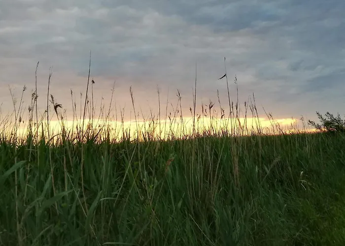 بيت للعطل Modern Seaside Retreat - By Traum *