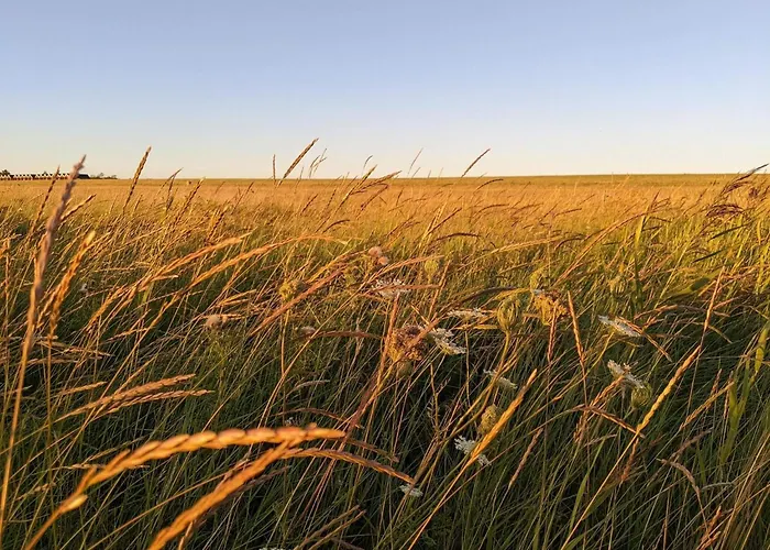 Modern Seaside Retreat - By Traum Emmerlev