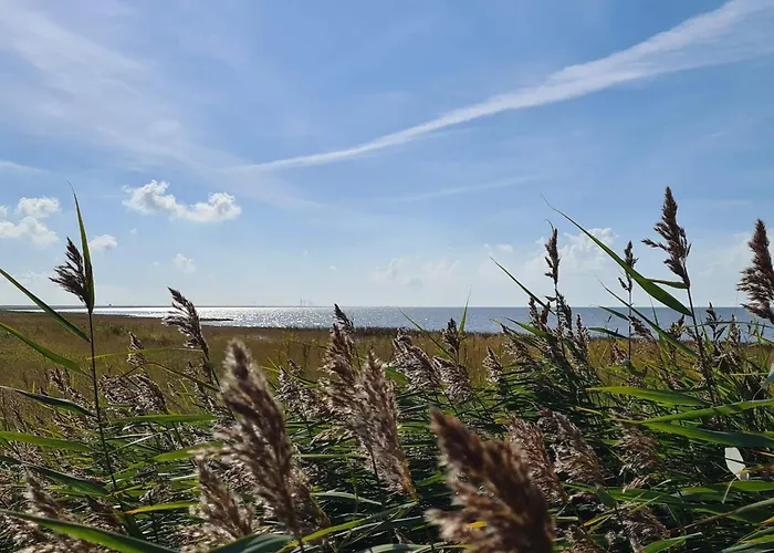 بيت للعطل Modern Seaside Retreat - By Traum