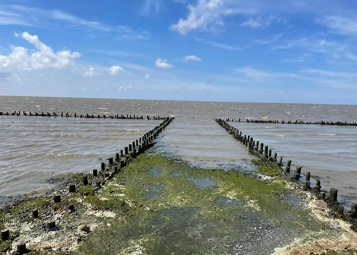 Modern Seaside Retreat - By Traum بيت للعطل Emmerlev