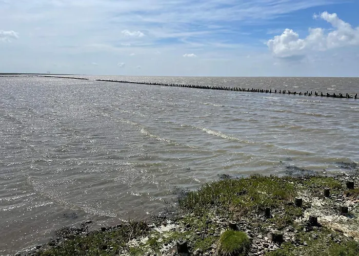 Modern Seaside Retreat - By Traum Emmerlev