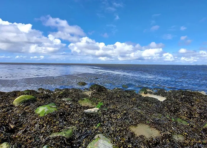 Modern Seaside Retreat - By Traum