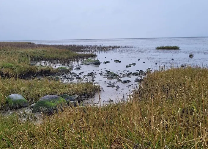 Modern Seaside Retreat - By Traum